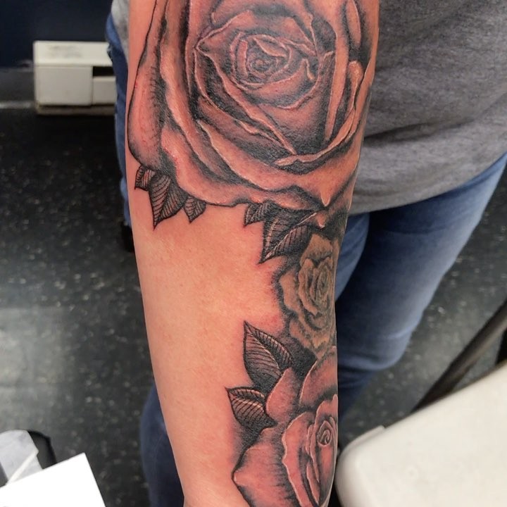 Flower, Rose