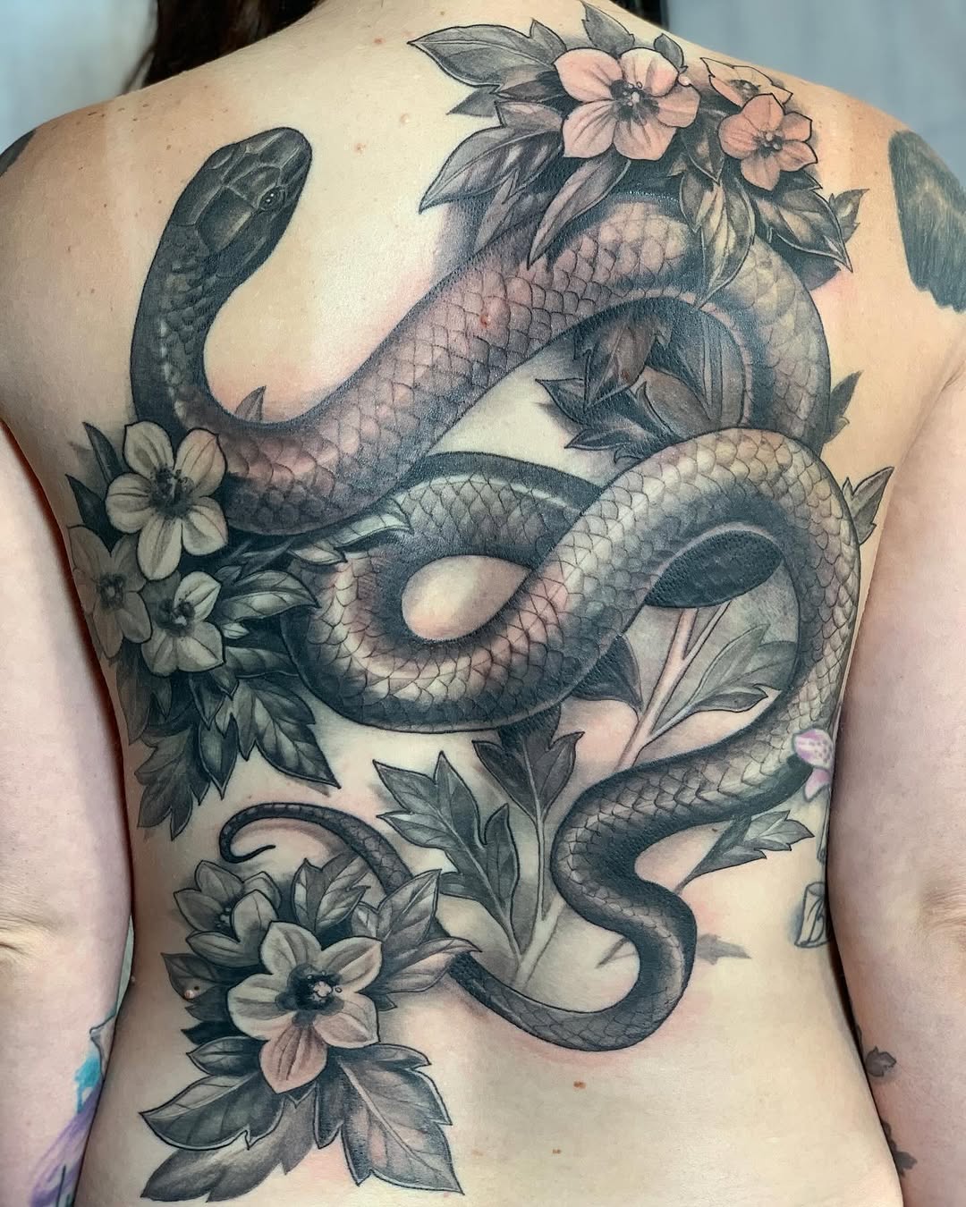shawn_hebrank
