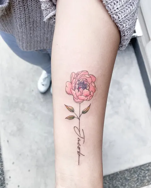 Flower, Rose