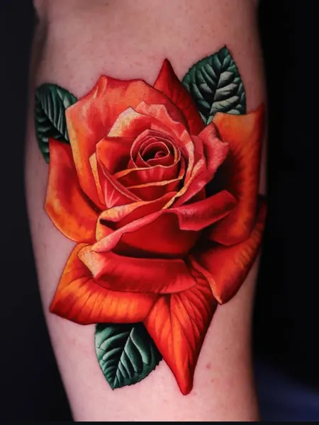 Flower, Rose