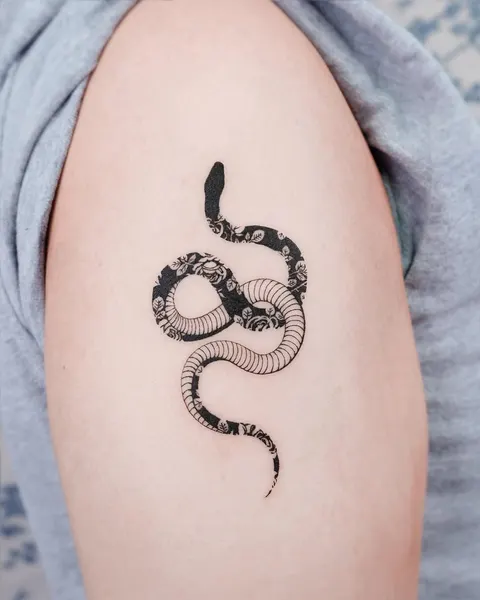 Dragon, Snake