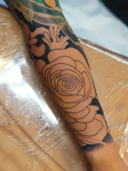 Flower, Rose