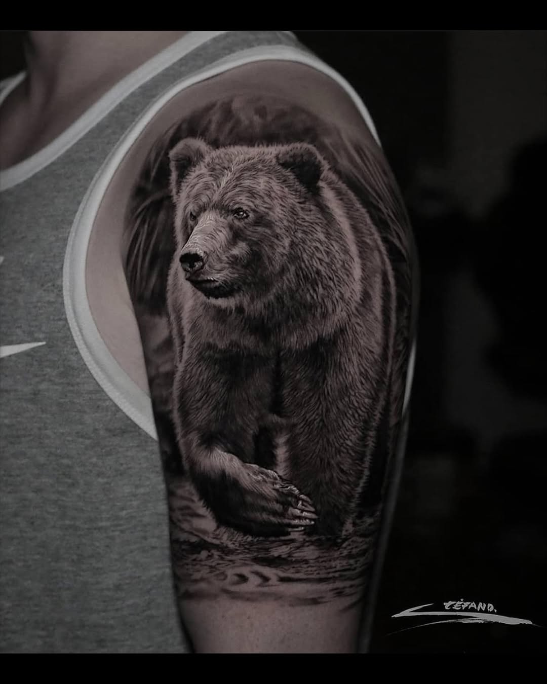 Animal