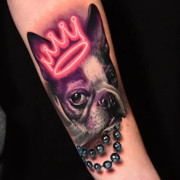 Animal
