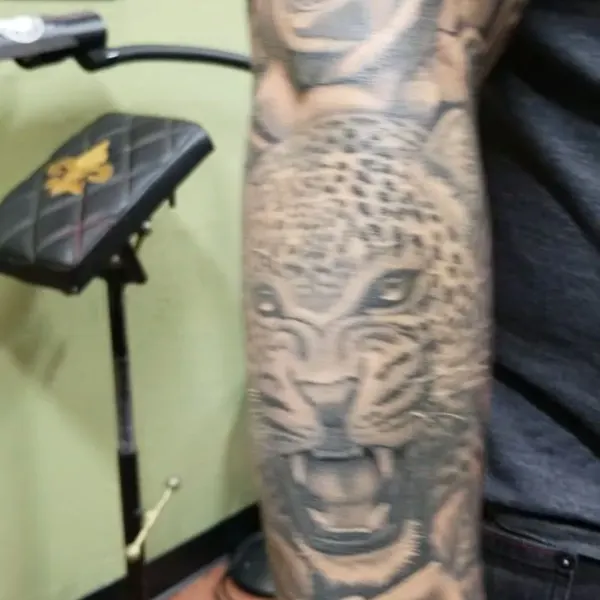 Animal, Tiger, 제우스