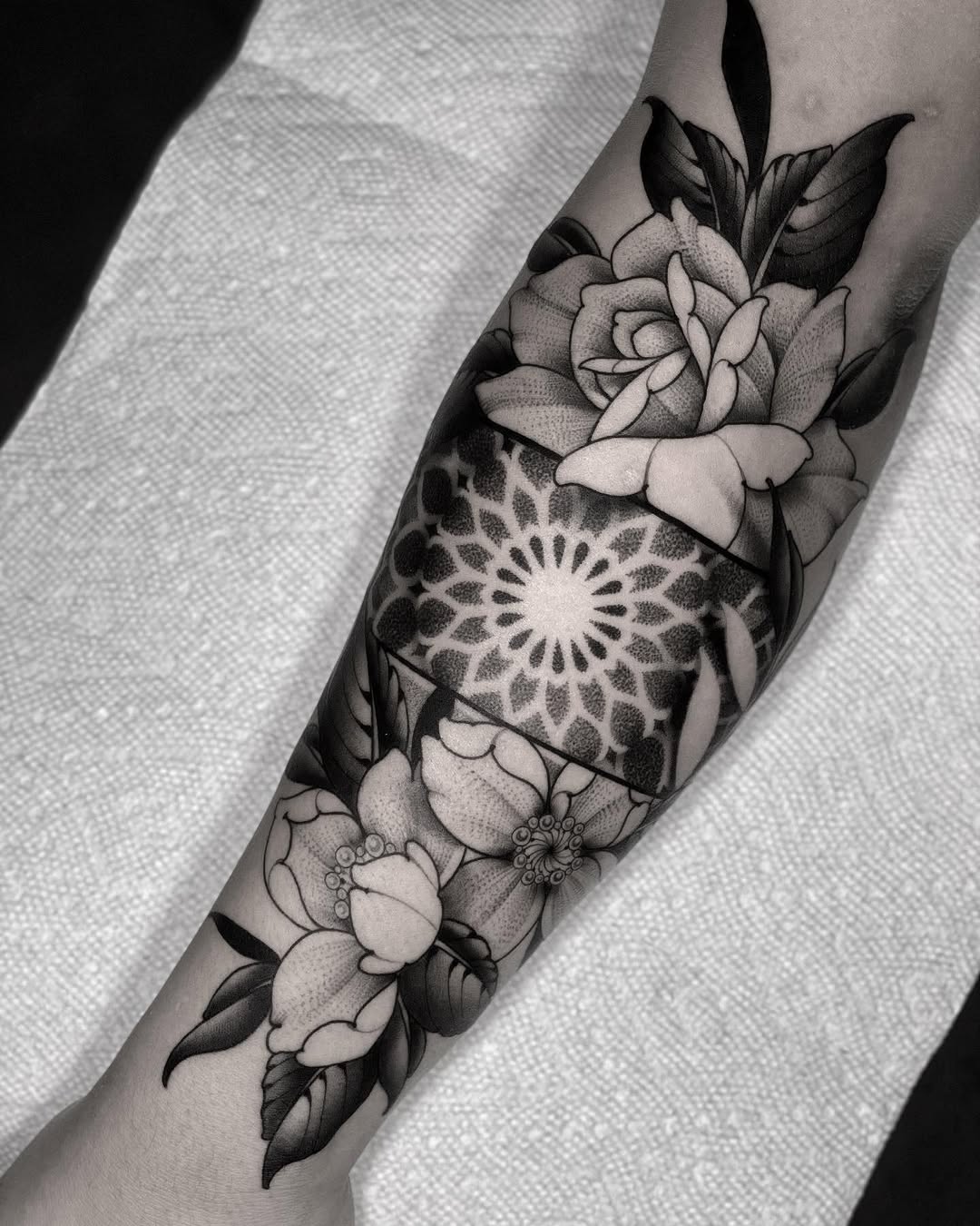 Flower, Rose