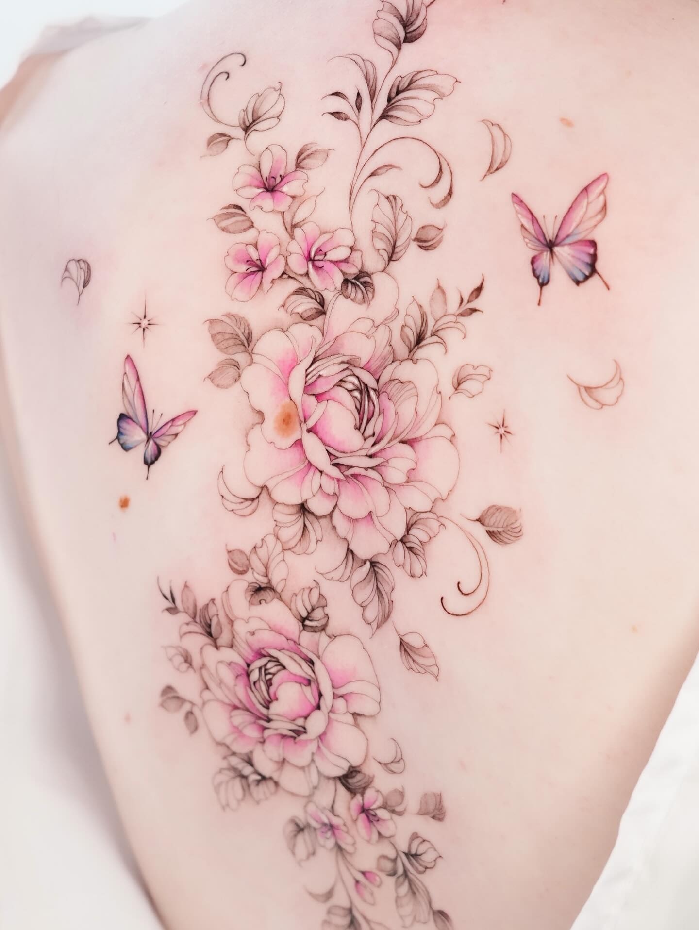 Flower, Nature, Rose