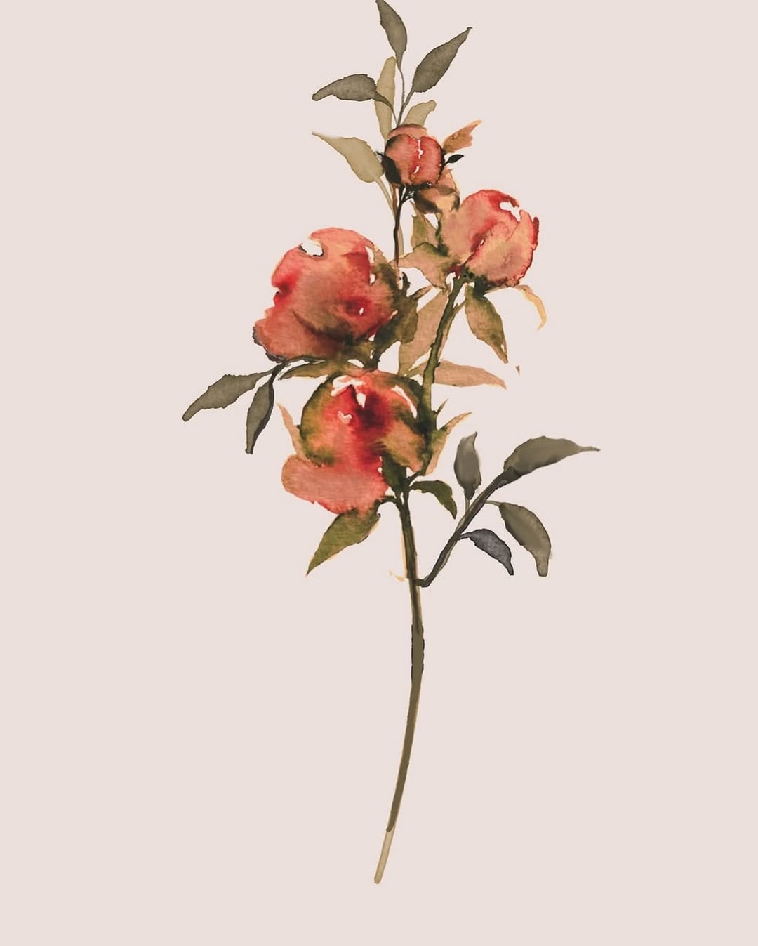 Flower, Rose