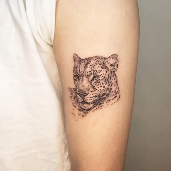 Animal