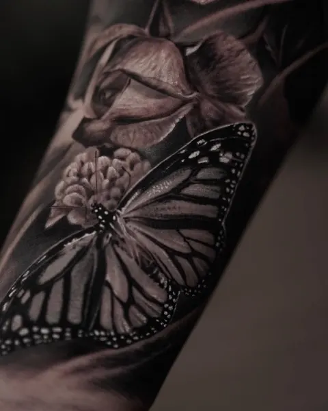 Animal, Nature