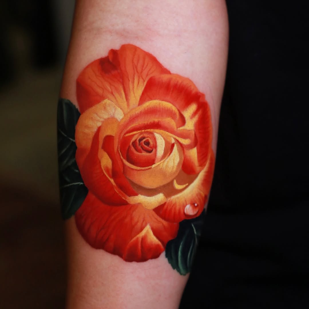 Flower, Rose
