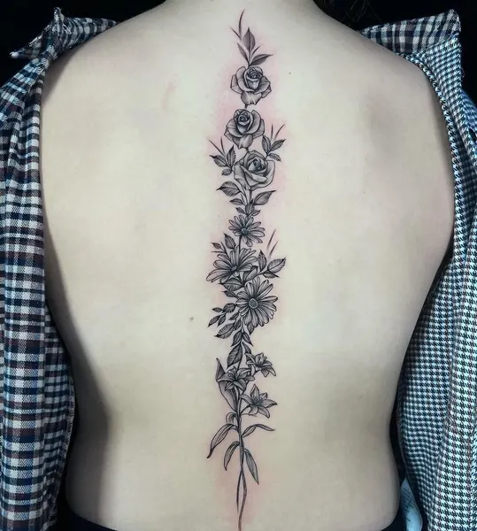 Flower, Nature, Rose