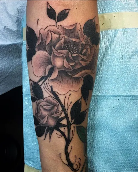Flower, Rose