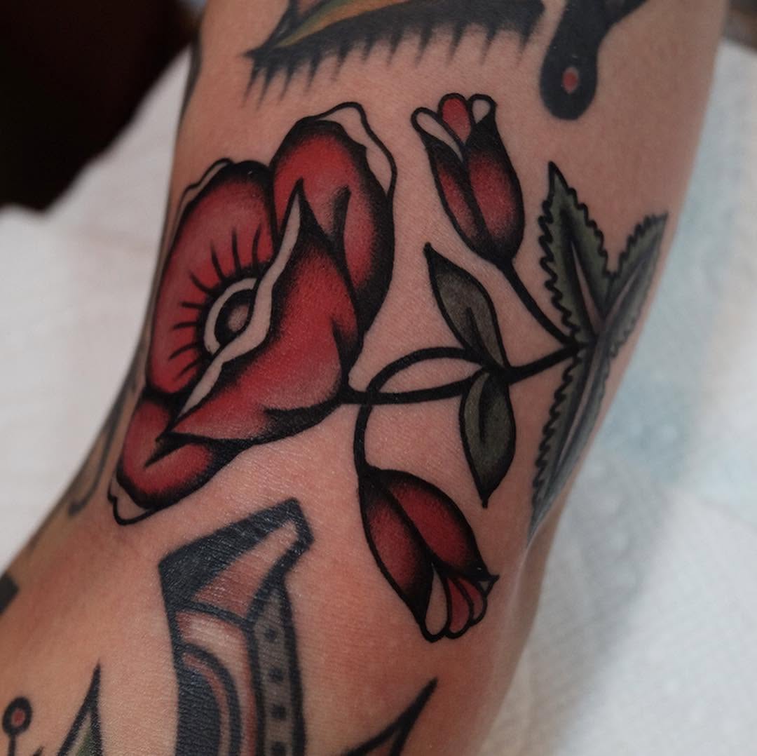 Flower, Rose