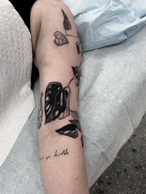 Flower, Rose, Nature