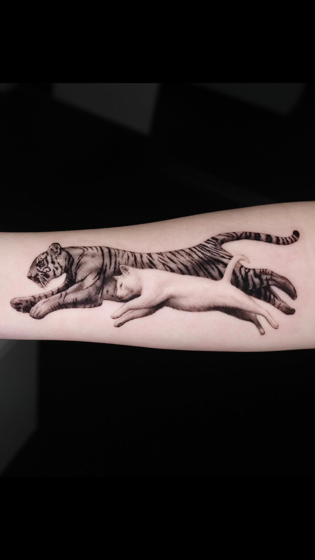 40.tatt
