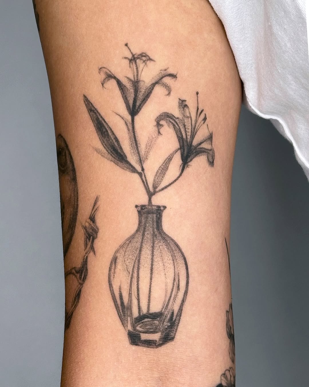 plantsnpokes