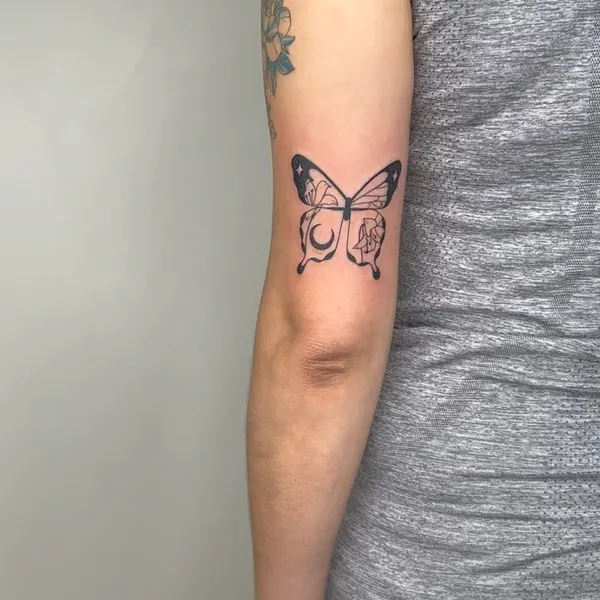 Animal, Nature