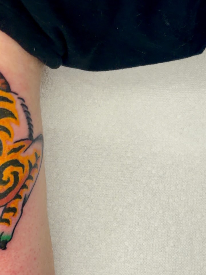 Tiger