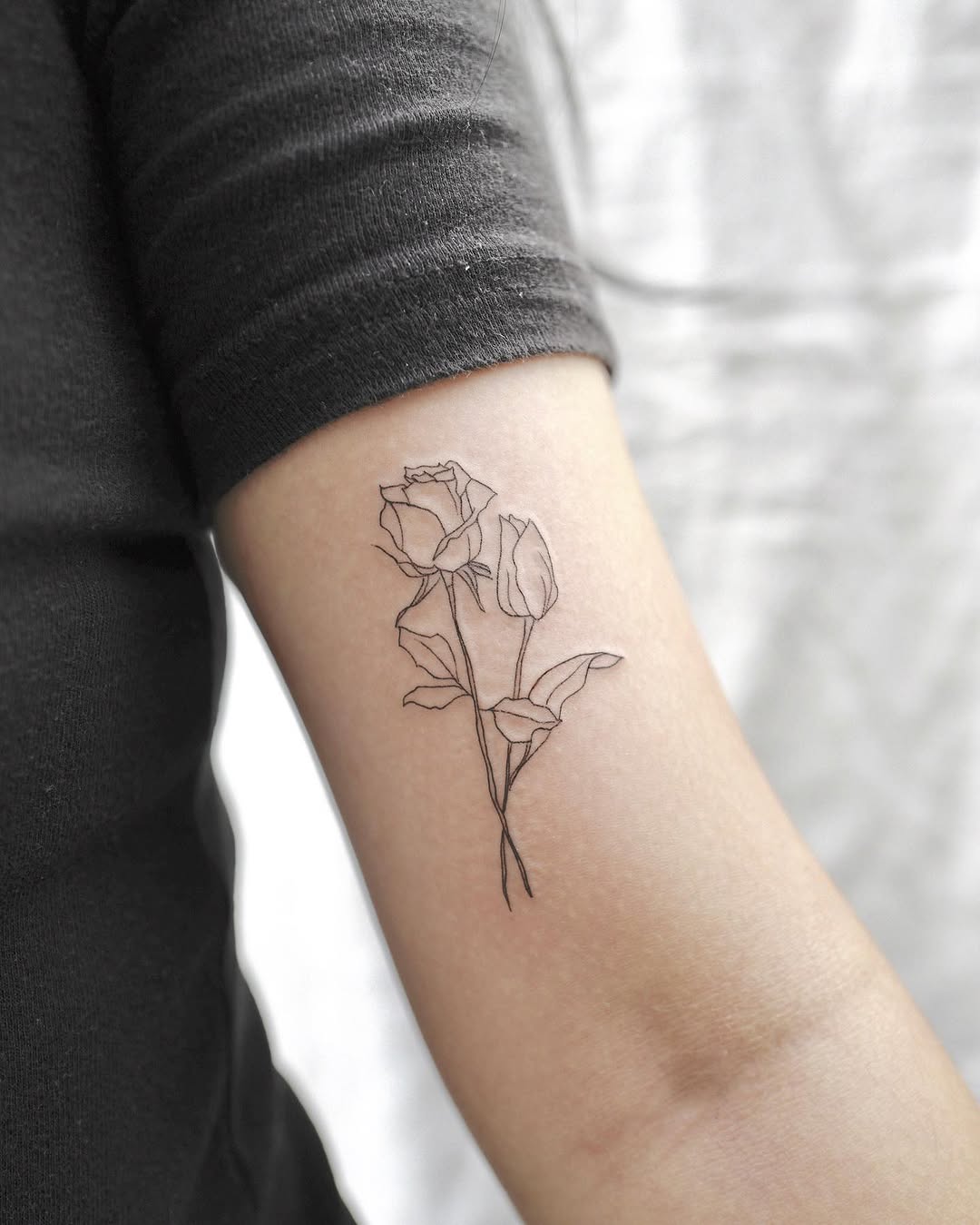 Flower, Rose
