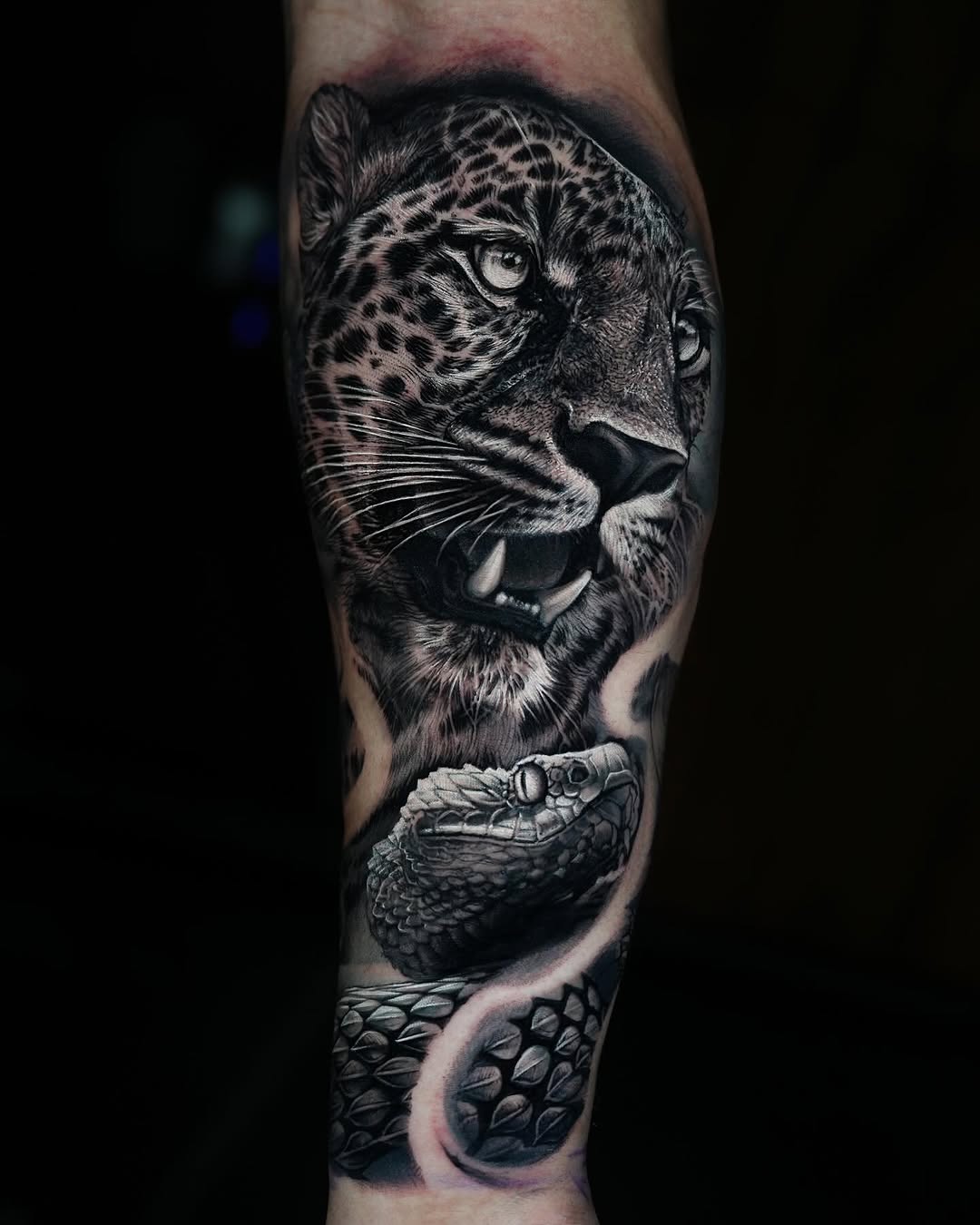 Animal, 표범, 재규어