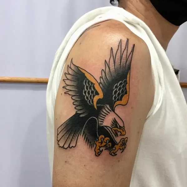 매, 독수리