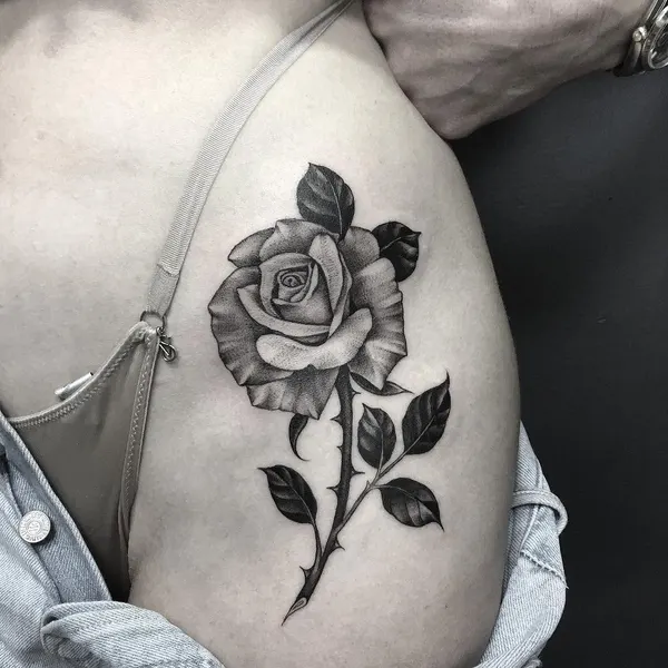 Flower, Rose