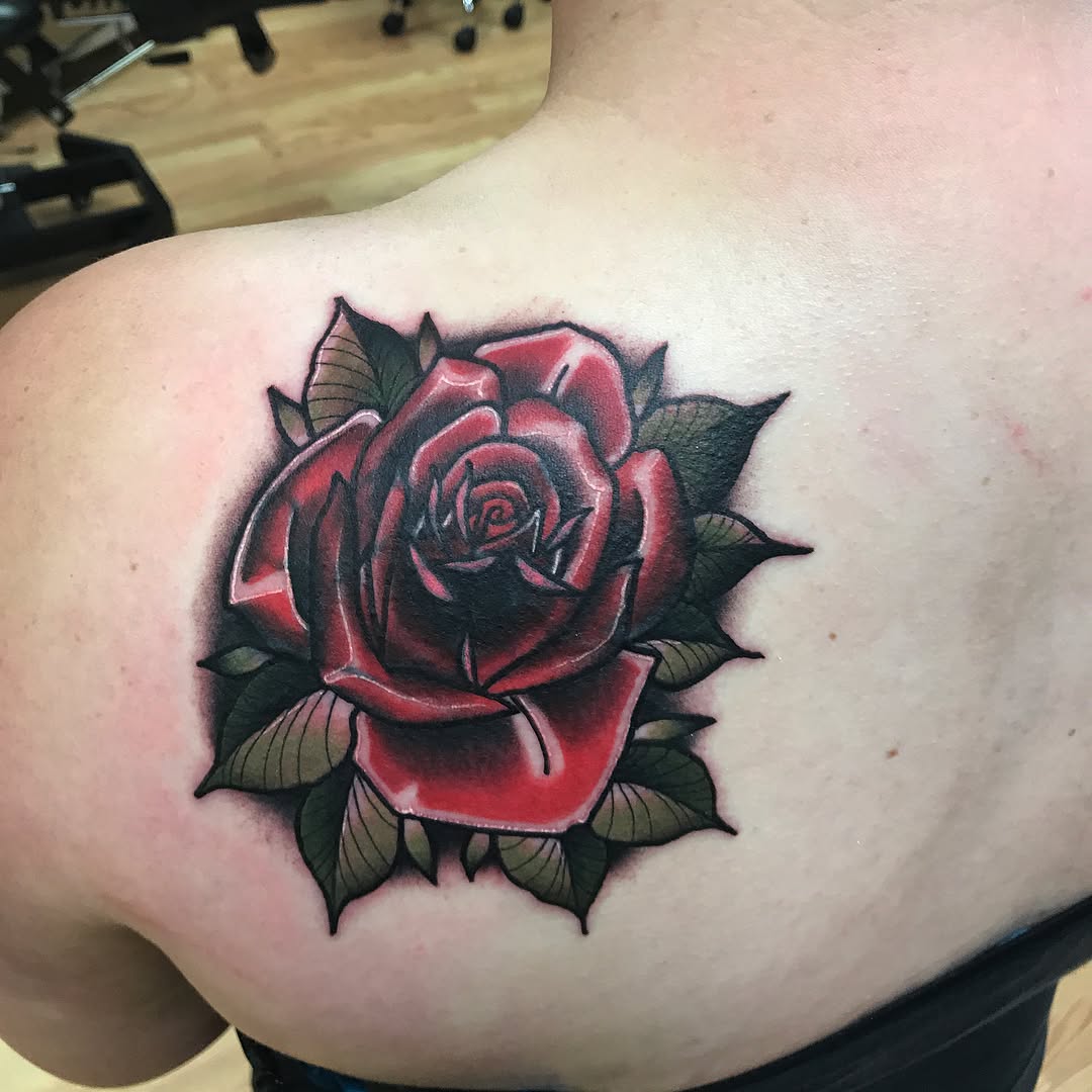 Flower, Rose, Nature