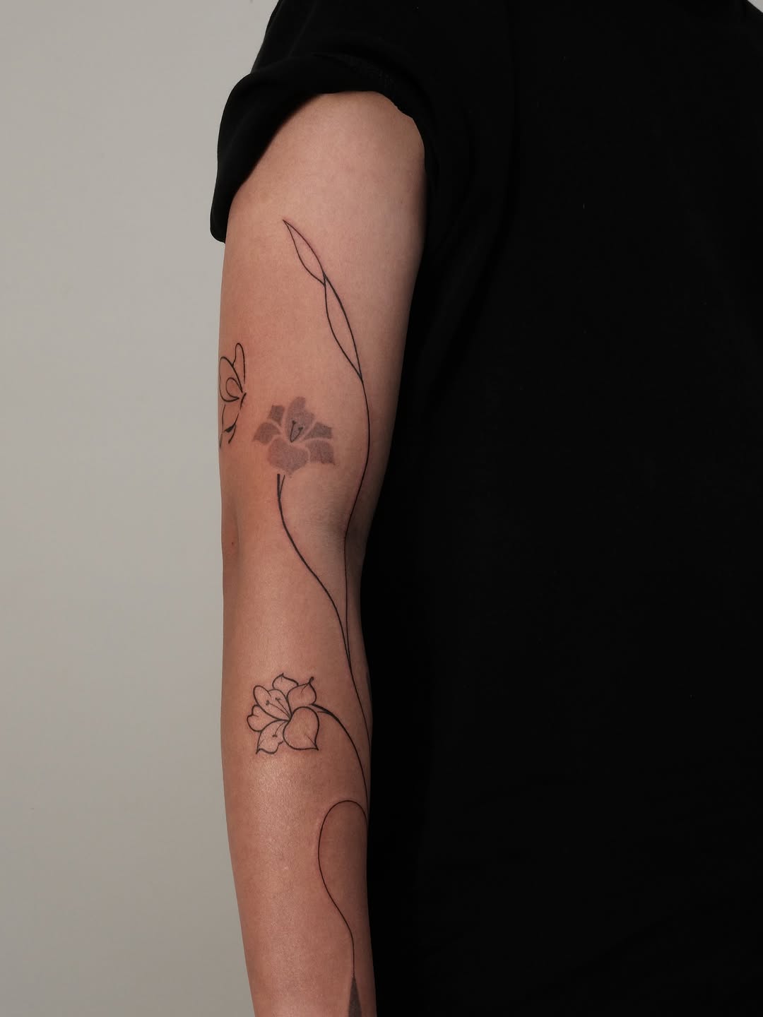 Flower, Rose