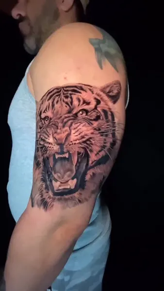 Tiger