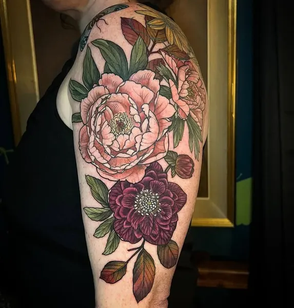 Flower, Rose, Nature