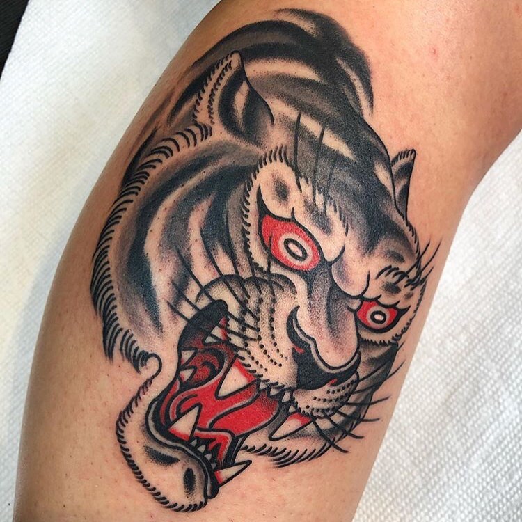 Tiger, Animal