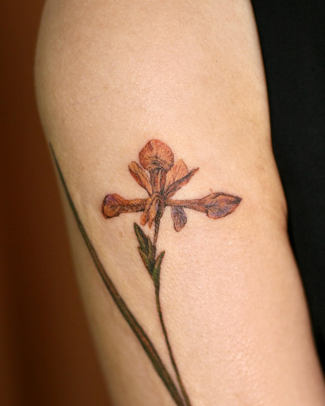 Flower, 난초, 아이리스