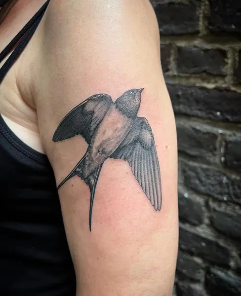 Full Circle Tattoo