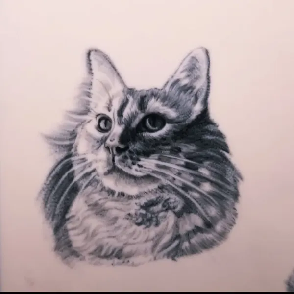 Animal