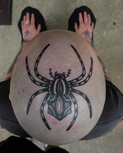 Animal, 거미