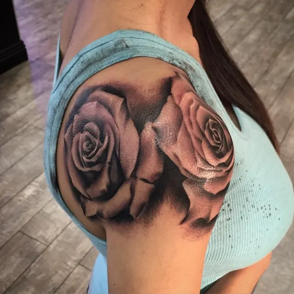 Flower, Nature, Rose