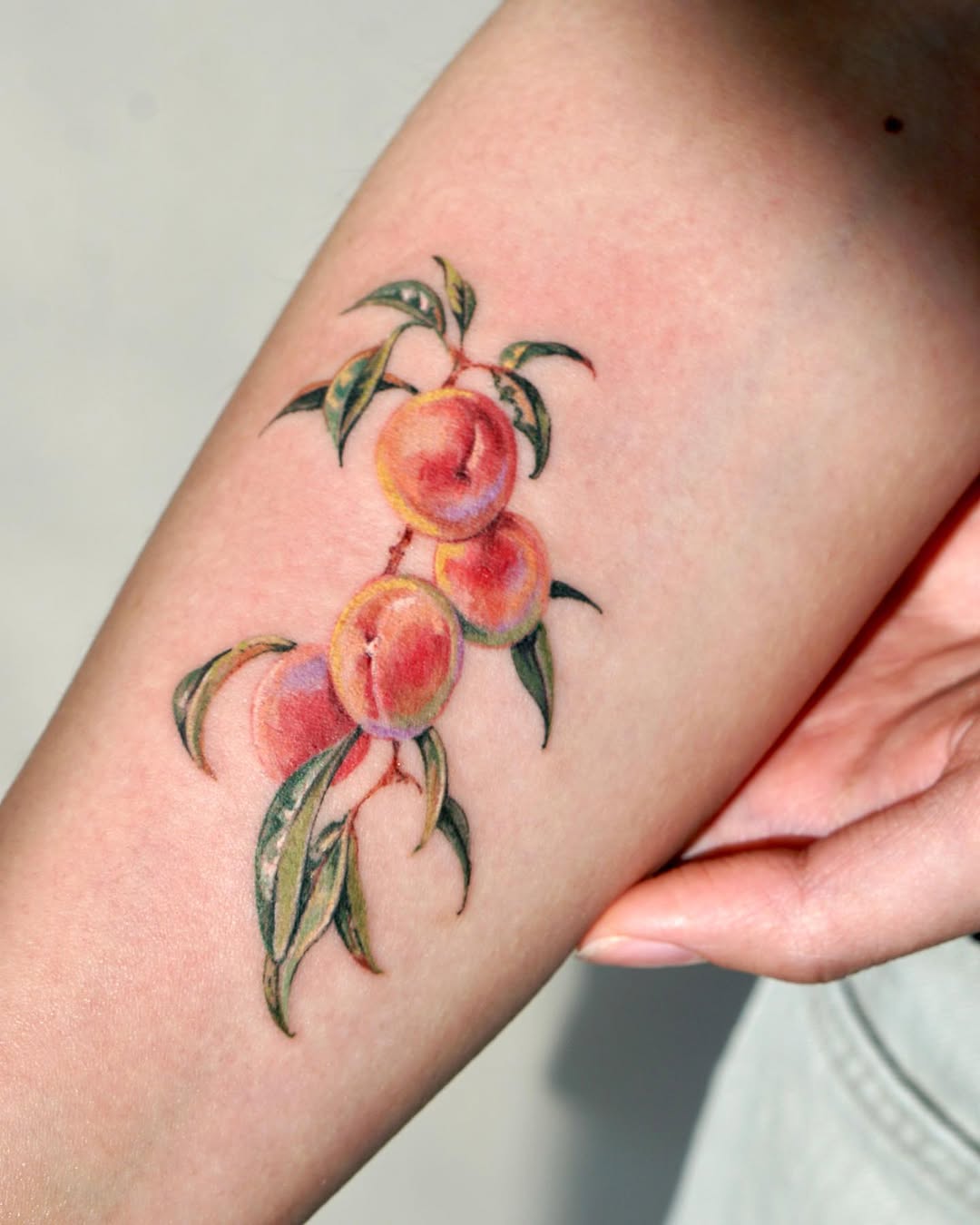 Flower, 과일, 사과, 체리