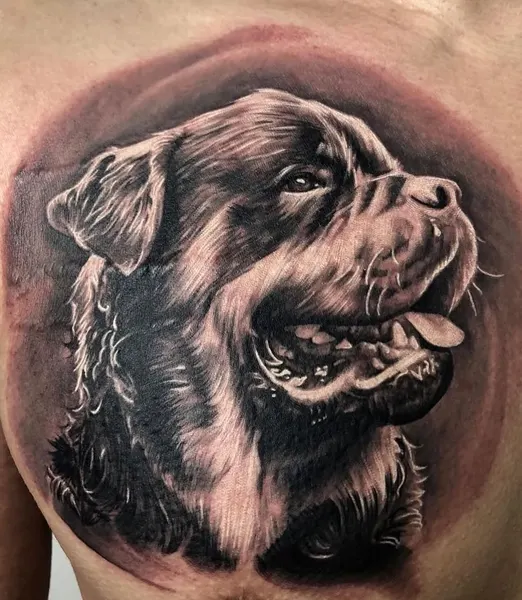 Animal