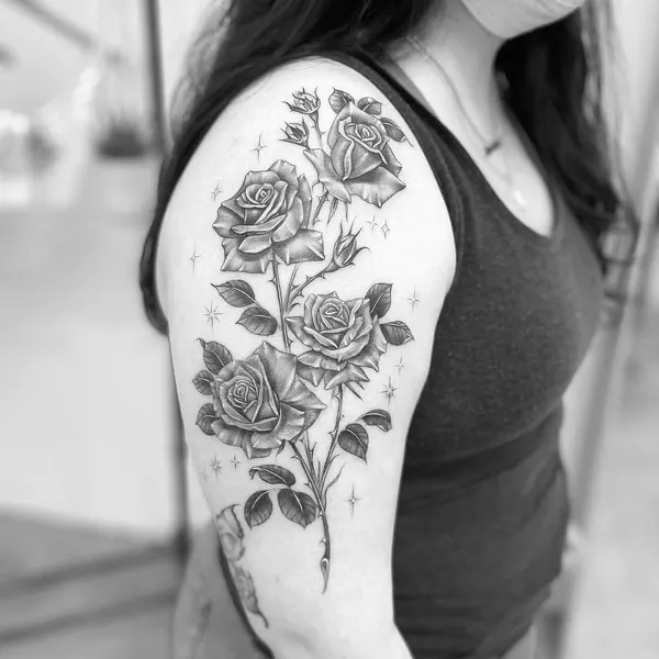 Flower, Rose, Nature