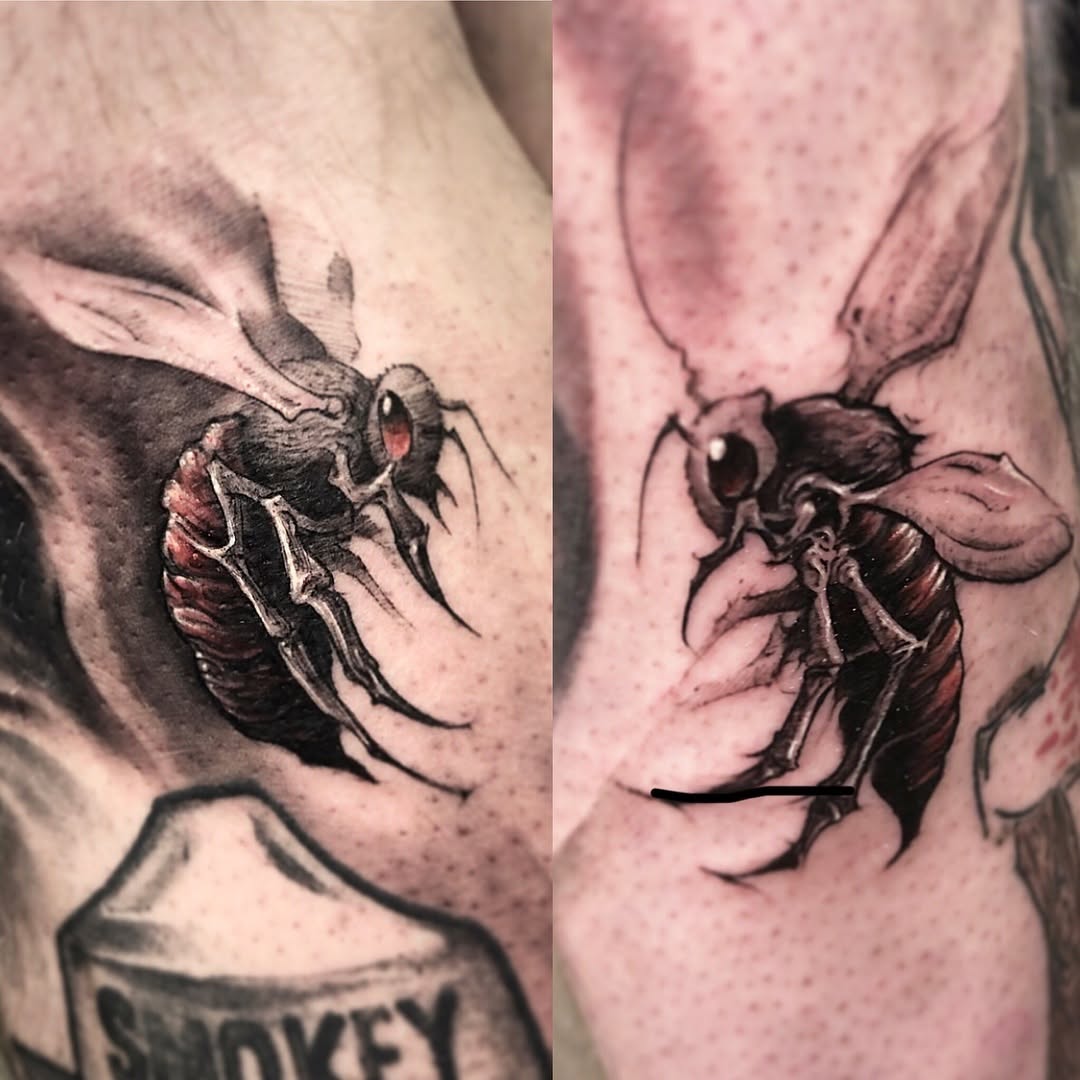 Animal