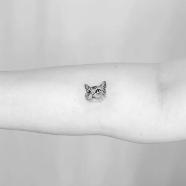 고양이, 여우 가면