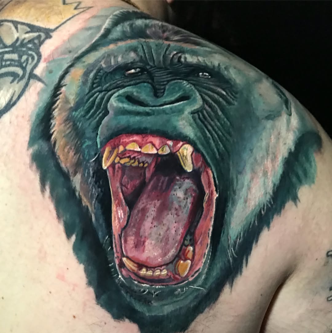 Animal, Tiger