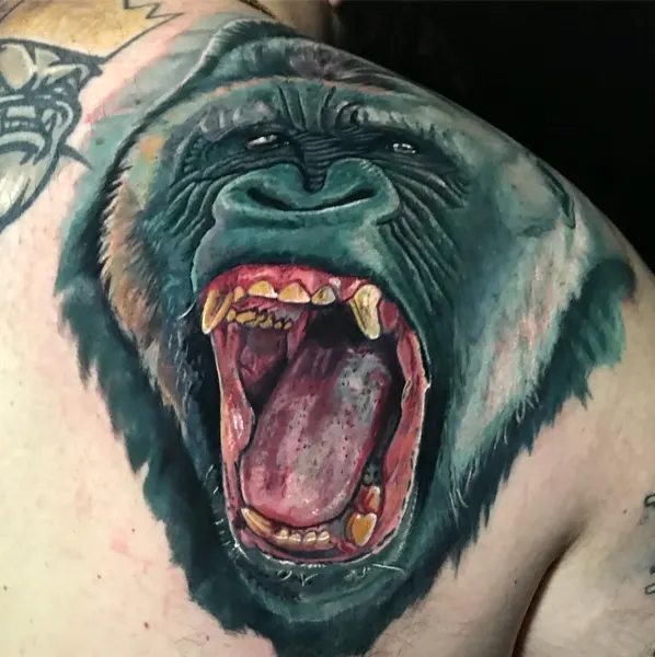 Animal, Tiger