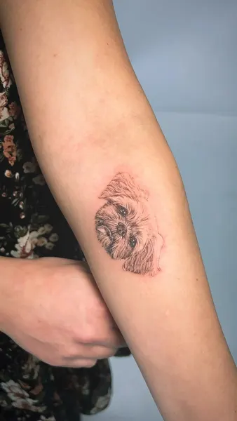 Animal