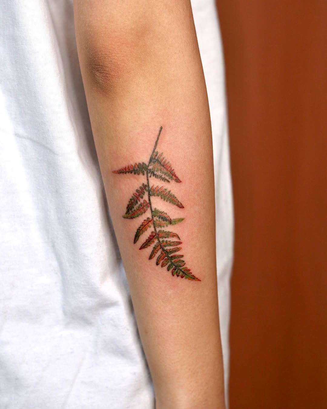 Flower, 고사리