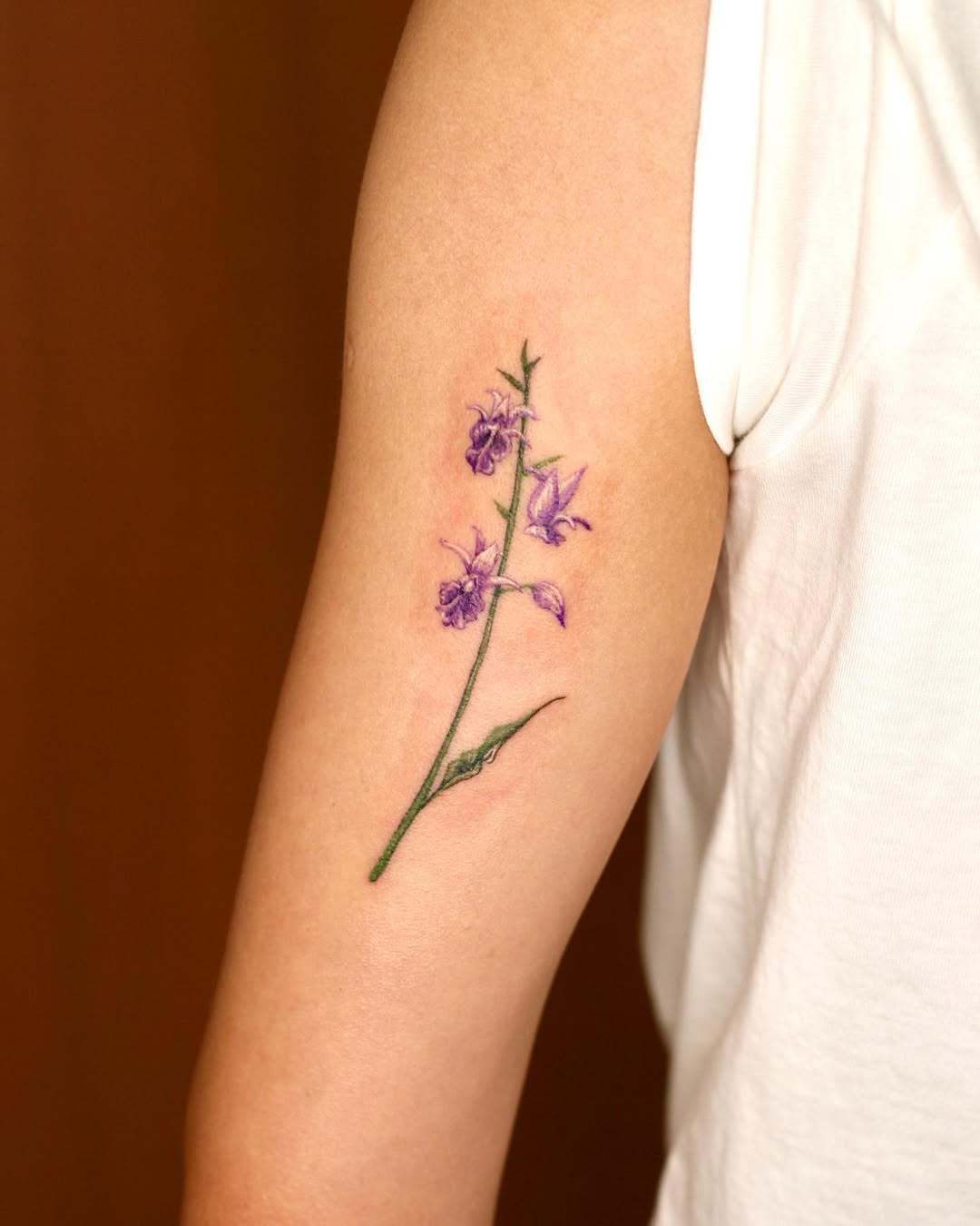 Flower, 난초
