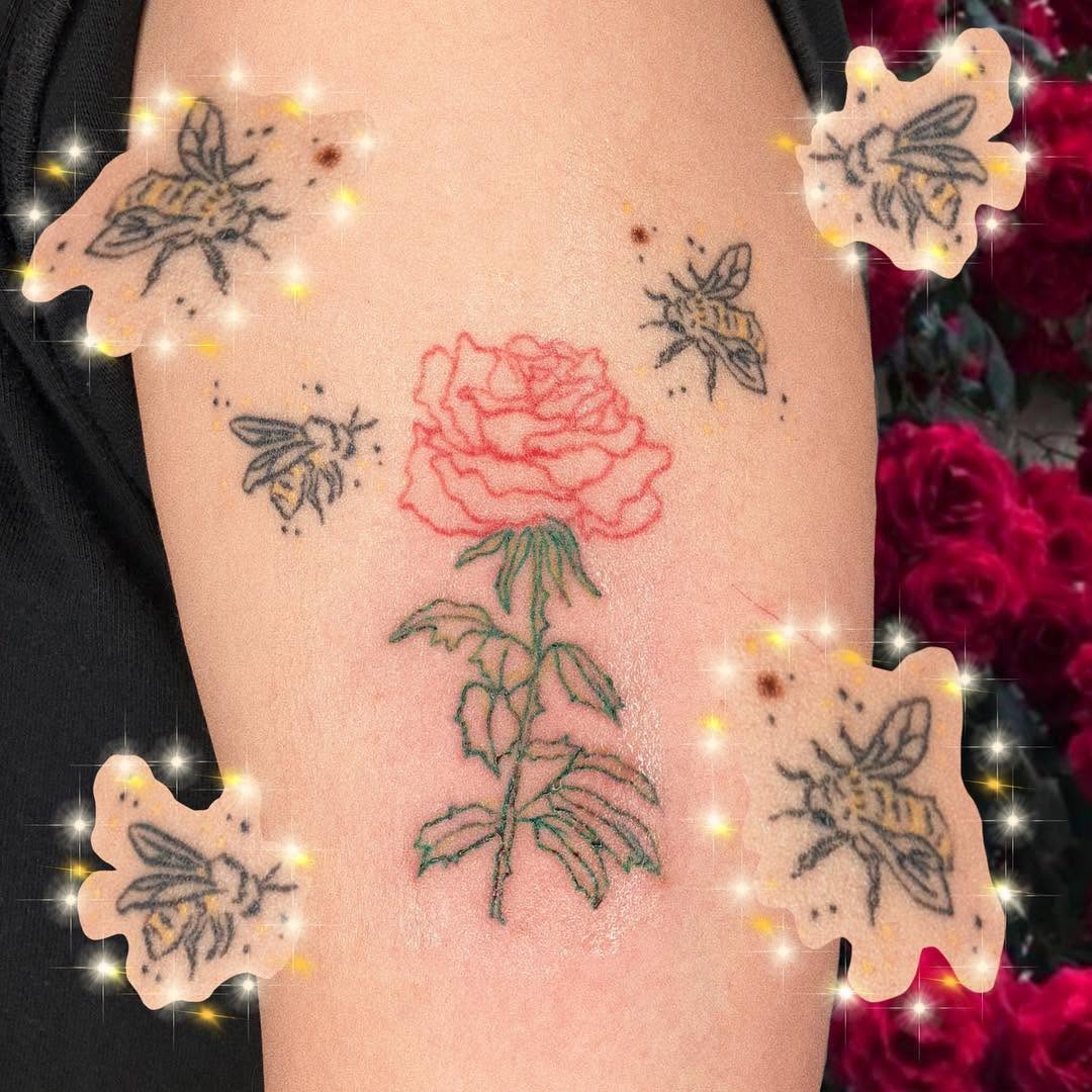Flower, Rose