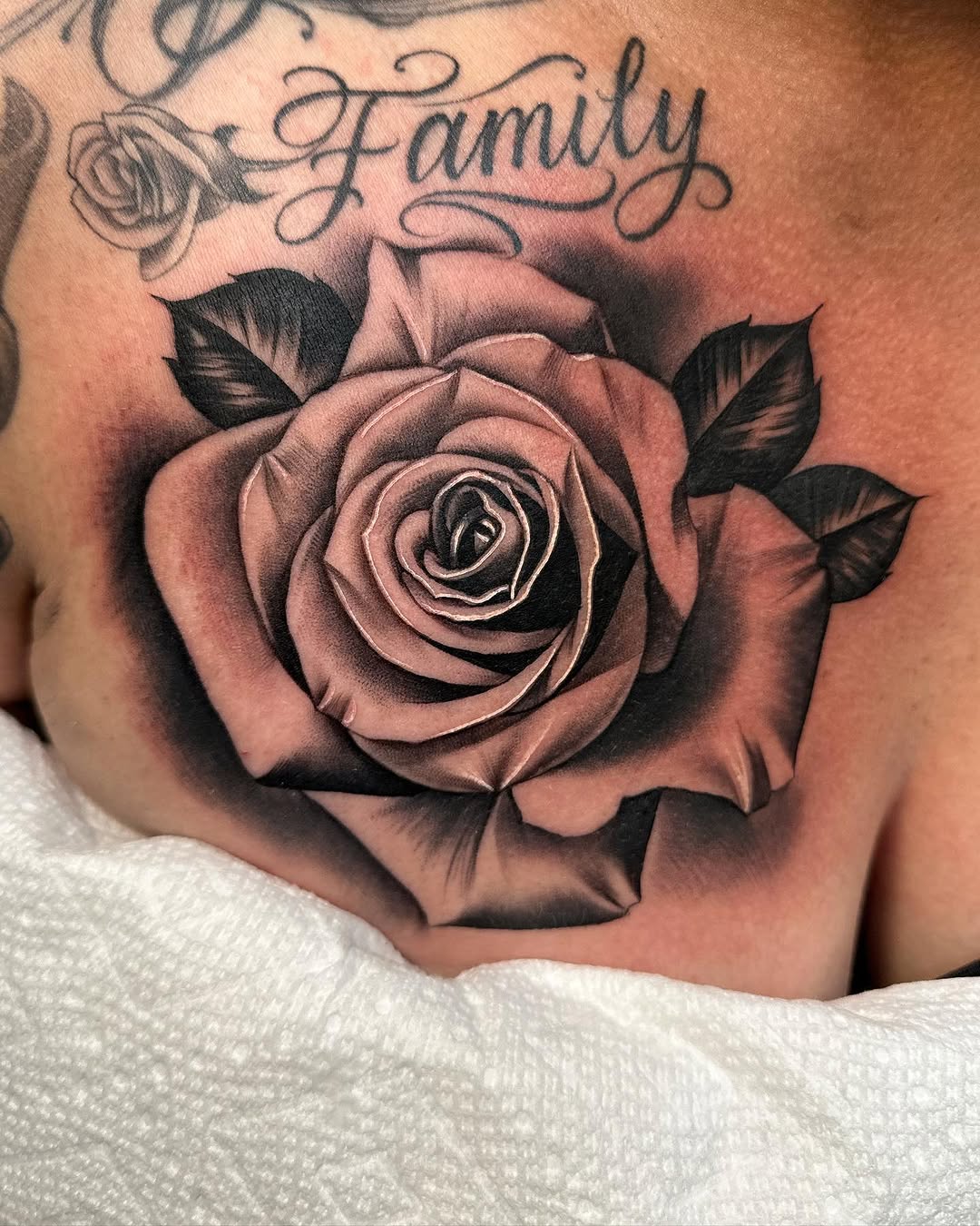 Flower, Rose, Nature