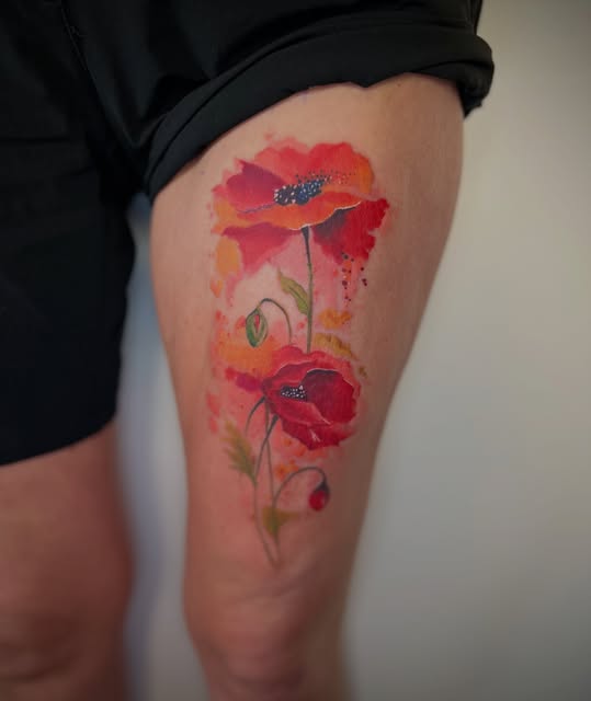 Flower, Rose, 양귀비